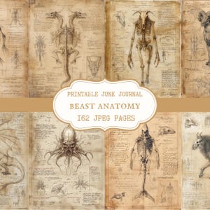 May include: A set of printable junk journal pages with sepia-toned illustrations of mythical beast anatomy. The pages feature detailed sketches of skeletons, diagrams, and handwritten notes. The image text reads "Printable Junk Journal Beast Anatomy 162 JPEG Pages."
