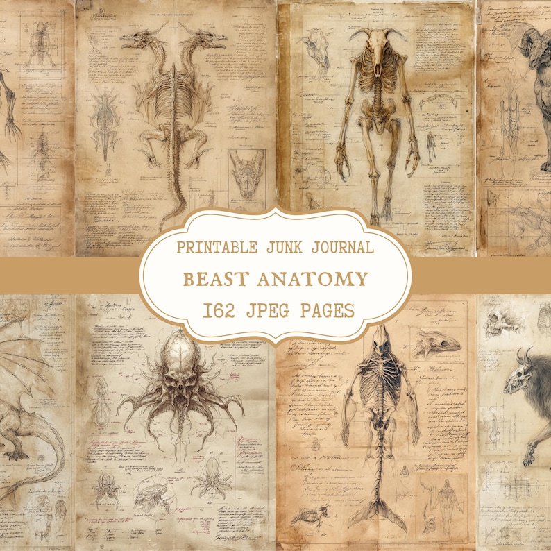 Lost Kin Beast Journal Beast Anatomy Junk Journal Kit, Vintage Anatomy Printable Pages, Gothic ...