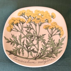 Puede incluir: Plato pequeño y redondo de cerámica blanca con una ilustración botánica. El diseño presenta flores amarillas, hojas verdes y la inscripción "tanacetum vulgare". El plato tiene un borde ligeramente elevado, ideal para servir.