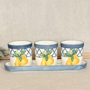 Vintage Pear Kitchen Planter Set with Tray | Hand Painted Ceramic Herb Planters