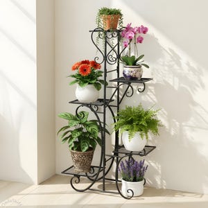 Peut inclure: Un présentoir à plantes en métal noir avec plusieurs étagères, accueillant diverses plantes en pot. Le présentoir présente un design décoratif en volutes et est rempli de fleurs et de verdure colorées, dont des gerberas oranges, des orchidées et des fougères.