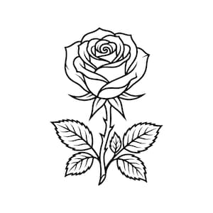 May include: A black and white line art illustration of a single rose flower. The design features a detailed rose bloom with layered petals, a central stem with small thorns, and four distinct serrated leaves branching out from the lower stem.