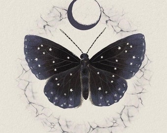 Stargazer Moth - Print