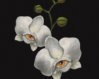Botanical Beast Orchid - Print
