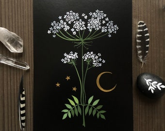 Poison Hemlock - Print