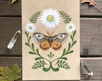 Moth Daisy - Print