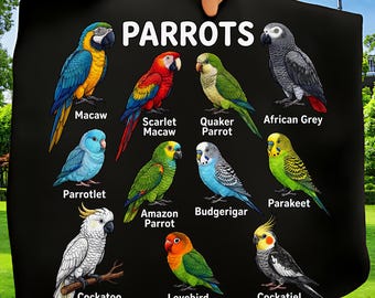カラフルなオウム PNG 鳥の識別イラスト コンゴウインコ アフリカオウム アート 手描きデザイン ペットの鳥 昇華 デジタル