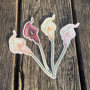 Könnte beinhalten: Vier Calla-Lilien-Aufkleber mit den Namen Benedicte, William, Alexandra und Marissa. Die Blumen sind in Rosa, Burgunder und Creme gehalten, mit grünen Stielen. Die Aufkleber befinden sich auf einer verwitterten Holzoberfläche.