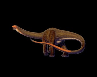 Apatosaurus louisae Dinosaur patch  [P-APAT]