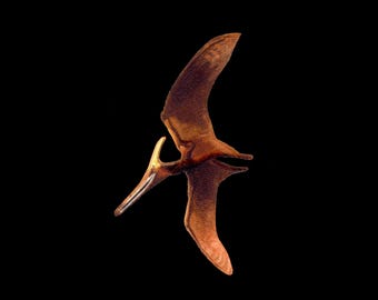 Pteranodon longiceps Pterosaur patch  [P-PTER]