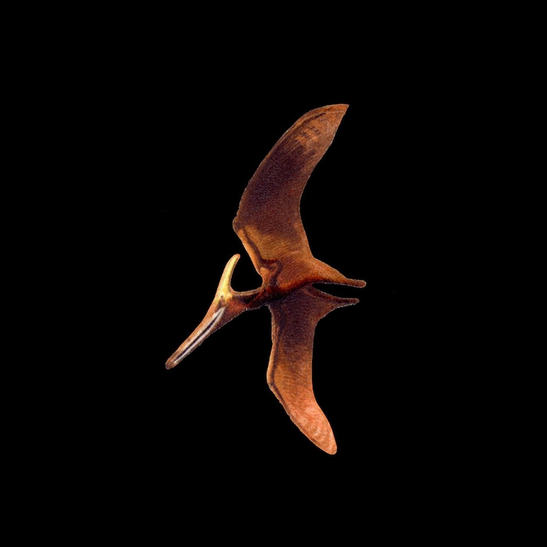 Pteranodon longiceps Pterosaur patch [P-PTER] image 1