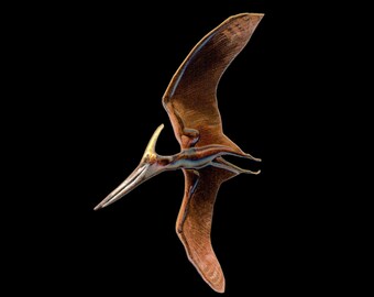Pteranodon longiceps Pterosaur pin  [PTER]