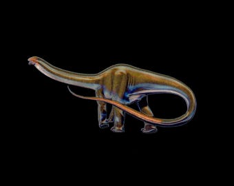 Apatosaurus louisae Dinosaur pin  [APAT]