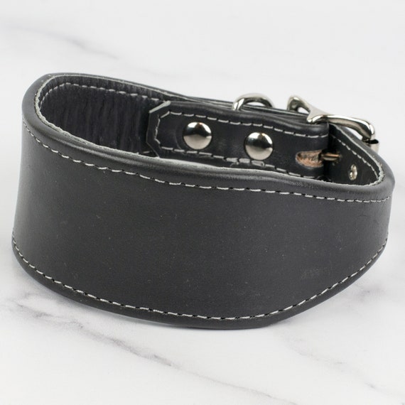 italian greyhound leather collar