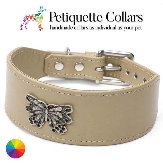 Studded Sighthound Collar Butterfly Concho Collar for Greyhound