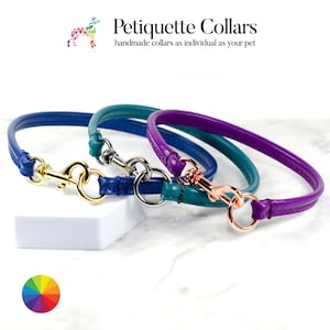 Soft Identification Tag Collar - Lightweight Leather House Collar
