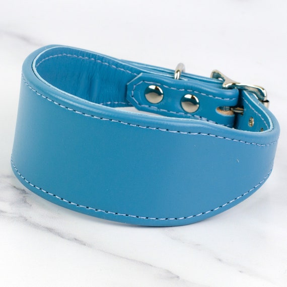Baby Blue Leather Whippet Collar 