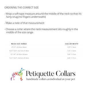 Puede incluir: Un gr&aacute;fico blanco con instrucciones para medir el cuello de una mascota para un collar. El texto incluye rangos de tama&ntilde;o de cuello en cm y pulgadas, y el ancho del collar en cm y pulgadas. El logotipo de Petiquette Collars est&aacute; en la parte inferior.