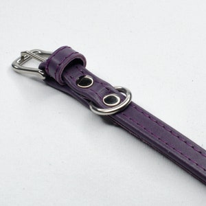 lilac dog collar