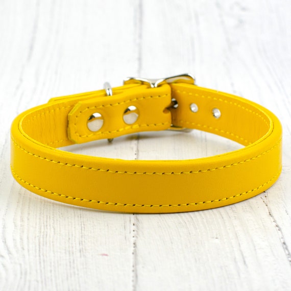 yellow leather dog collar