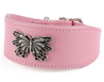 Mariposa Leather Greyhound Collar - 24 Colours Available