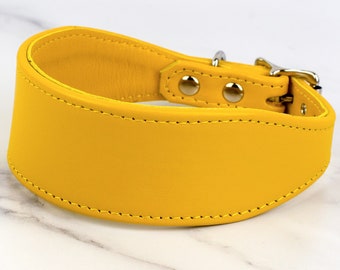 Daffodil Yellow Leather Greyhound Collar - Handmade by Petiquette Collars