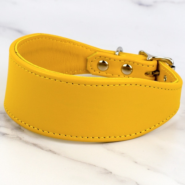 Daffodil Yellow Leather Greyhound Collar - Handmade by Petiquette Collars