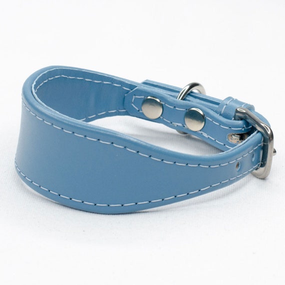Italian greyhound best sale collar and lead