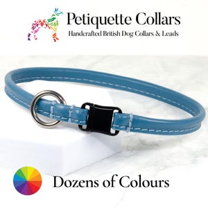 Könnte beinhalten: Ein hellblaues Hundehalsband mit schwarzer Schnalle und silbernem Metallring. Das Halsband ist mit weißem Faden genäht. Das Bild enthält den Text "Petiquette Collars" und "Dozens of Colours".