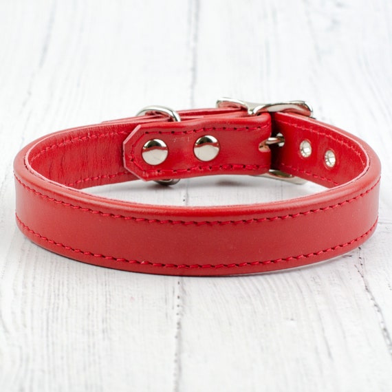 red leather dog leash