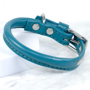 Puede incluir: Collar de perro de cuero color turquesa con un dise&ntilde;o redondeado. El collar presenta herrajes met&aacute;licos plateados, que incluyen una hebilla, una anilla en D y remaches. El collar est&aacute; cosido con hilo turquesa a juego.