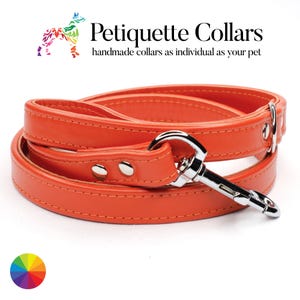 Op de afbeelding: Oranje leren hondenriem met een zilveren clip en twee zilveren klinknagels. De riem is dubbelgevouwen en de merknaam "Petiquette Collars" is zichtbaar boven de riem. De slogan "handmade collars as individual as your pet" is ook zichtbaar.