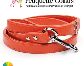 Custom Leather Dog Lead – Handmade in 29 Vibrant Colours