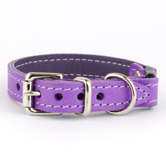 lilac cat collar