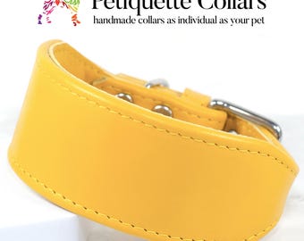 Bright Yellow Padded Leather Whippet Collar for Medium Sighthounds and Lurchers