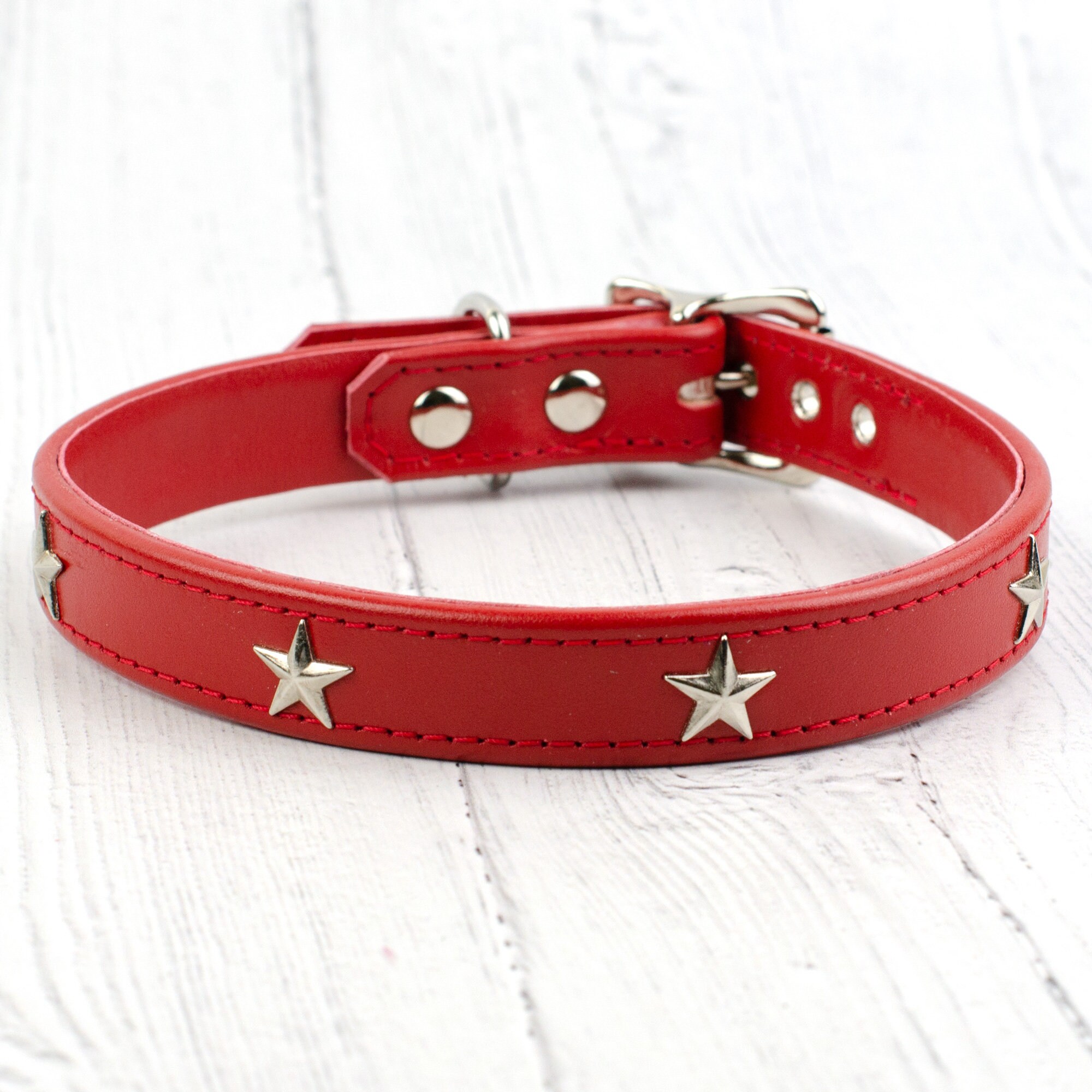 red studded dog collar