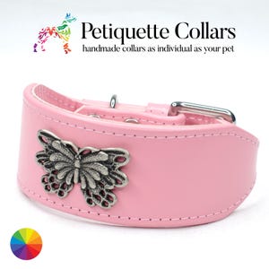 Butterfly Studded Leather Whippet Collar  - Handmade Sighthound Collar with Concho - Choice of Colours