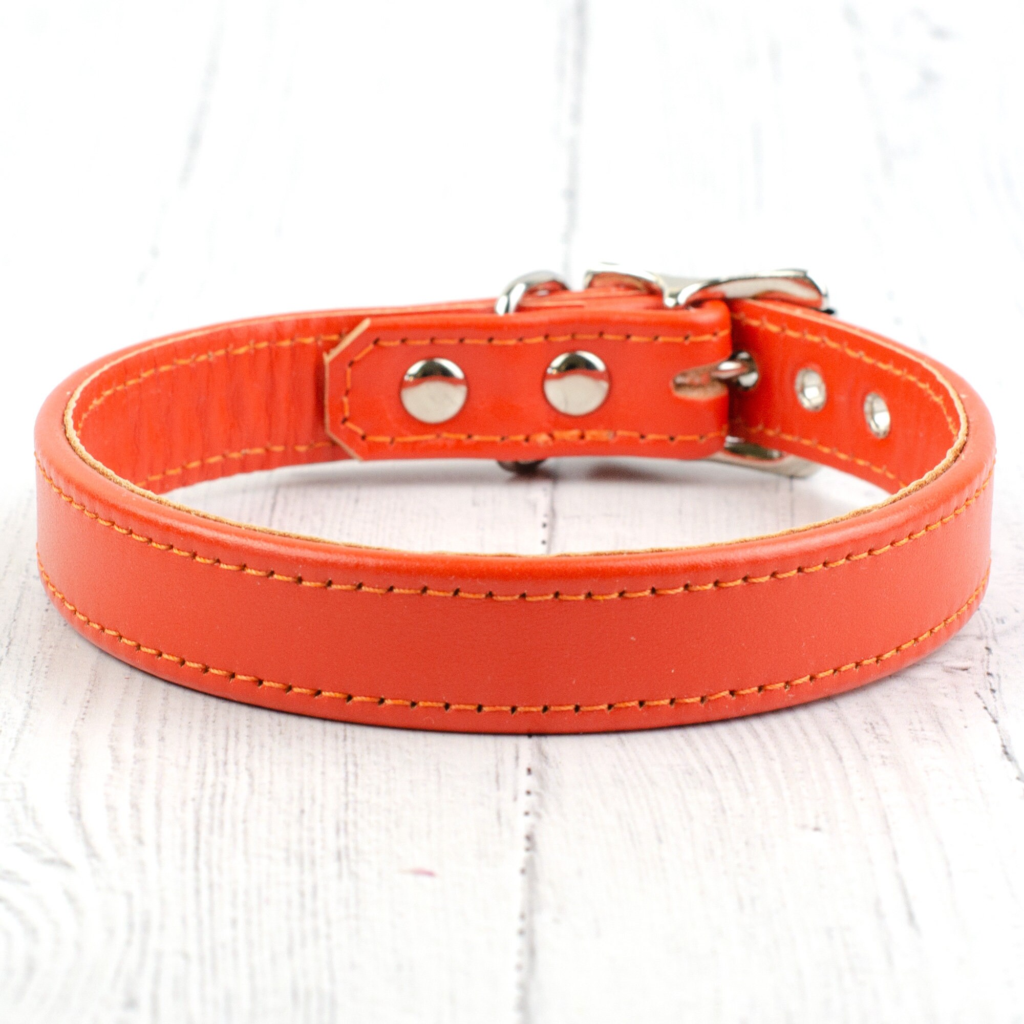 orange dog collar