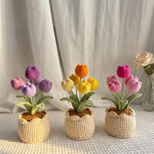 May include: Three crocheted tulip arrangements in beige pots. The left pot holds purple and pink tulips, the centre pot holds yellow and orange tulips, and the right pot holds pink tulips. Each plant features green crocheted leaves and stems.