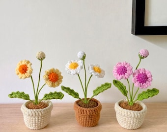 Crochet Daisy Pot, Handmade Flower Gift, Desk & Room Decoration, Mood-Lifting Gift for Mother, Daughter, Friends