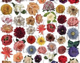 Flowers #1 - Botanical Collage Sheet- Digital Printable - Instant Download (2244)