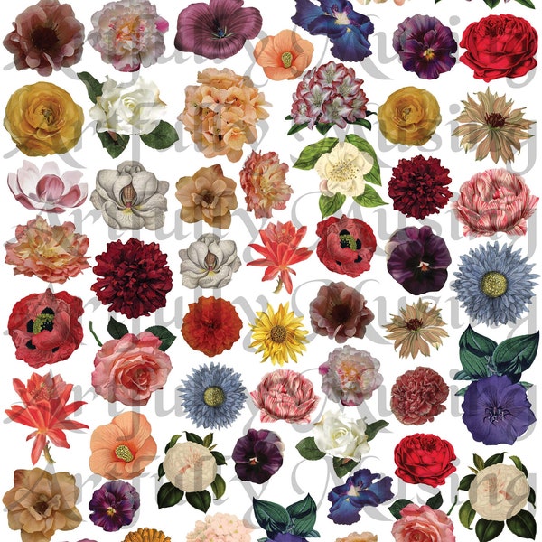 Flowers #1 - Botanical Collage Sheet- Digital Printable - Instant Download (2244)