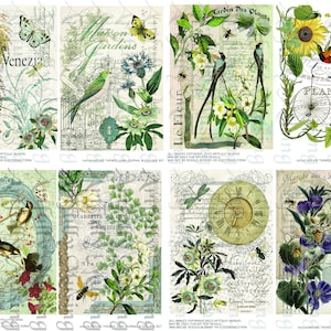 4 Collage Sheet Set (8 images) of Nature Backgrounds - Collage - Junk Journals #2 -  Digital Printable - Instant Download (3022b)