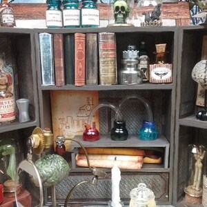 May include: A miniature apothecary cabinet with shelves filled with glass bottles, jars, and books. The cabinet has a dark wood finish and is decorated with metal accents. There are also several glass domes with skulls and other objects inside.
