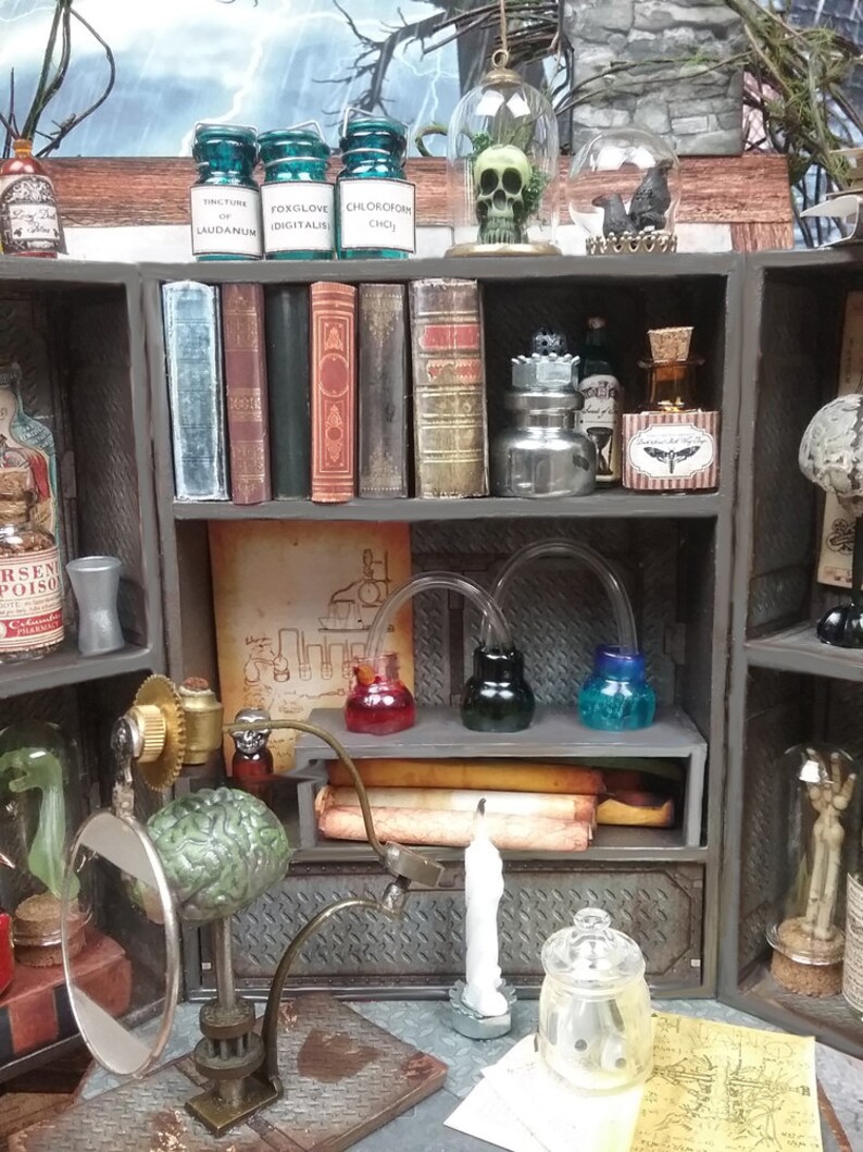 May include: A miniature apothecary cabinet with shelves filled with glass bottles, jars, and books. The cabinet has a dark wood finish and is decorated with metal accents. There are also several glass domes with skulls and other objects inside.