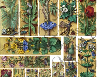 Floral Panels -  Collage Sheet- Digital Printable - Instant Download (1656)