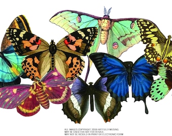 Butterflies & Moths - 26 Separate Images - Digital Image Set Clip Art - Digital Printable - Instant Download (5019)
