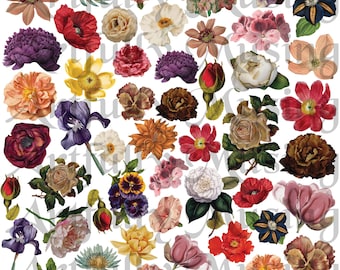 Flowers #2 - Botanical Collage Sheet- Digital Printable - Instant Download (2245)