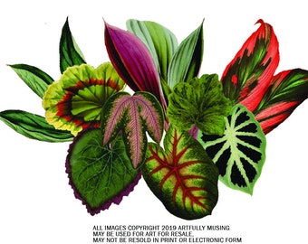 Miniature Leaves - 45 Separate Images - Digital Image Set Clip Art - Digital Printable - Instant Download (5079)