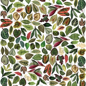 Miniature Leaves Collage Sheet - Digital Printable - Instant Download (2214)
